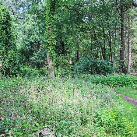 Huiske Oan T Bos Lage Mierde Exteriér fotografie