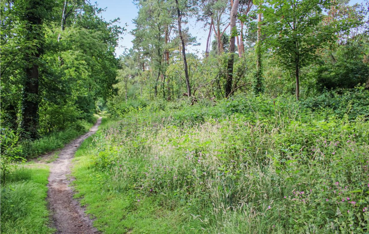 Huiske Oan T Bos Lage Mierde Exteriér fotografie