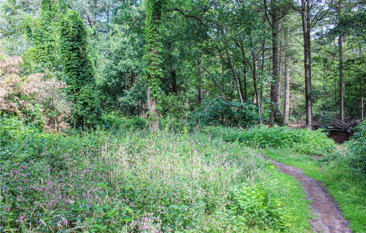Huiske Oan T Bos Lage Mierde Exteriér fotografie